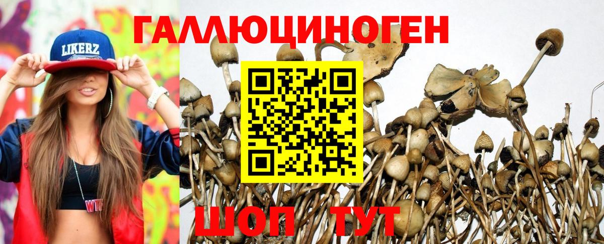 Рязань  Псилоцибиновые грибы Cubensis  Псилоцибиновые грибы Psilocybe  Вход с VPN 