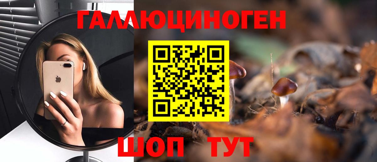 Псилоцибиновые грибы Psilocybe Рязань